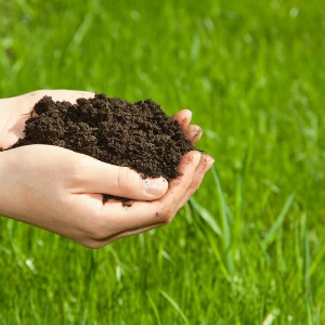 土壤环境、土壤利用和社会经济关系